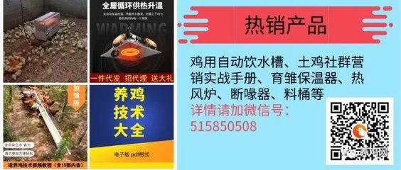 2019年5月31日全國(guó)肉毛雞市場(chǎng)價(jià)格分析與行情參考